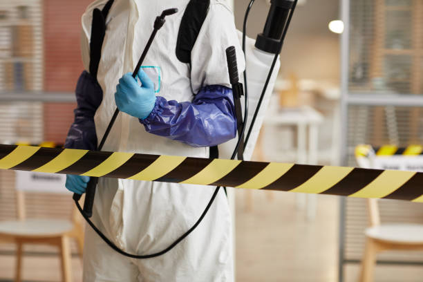 Professional Sewage Cleanup technician working in Truro, MA